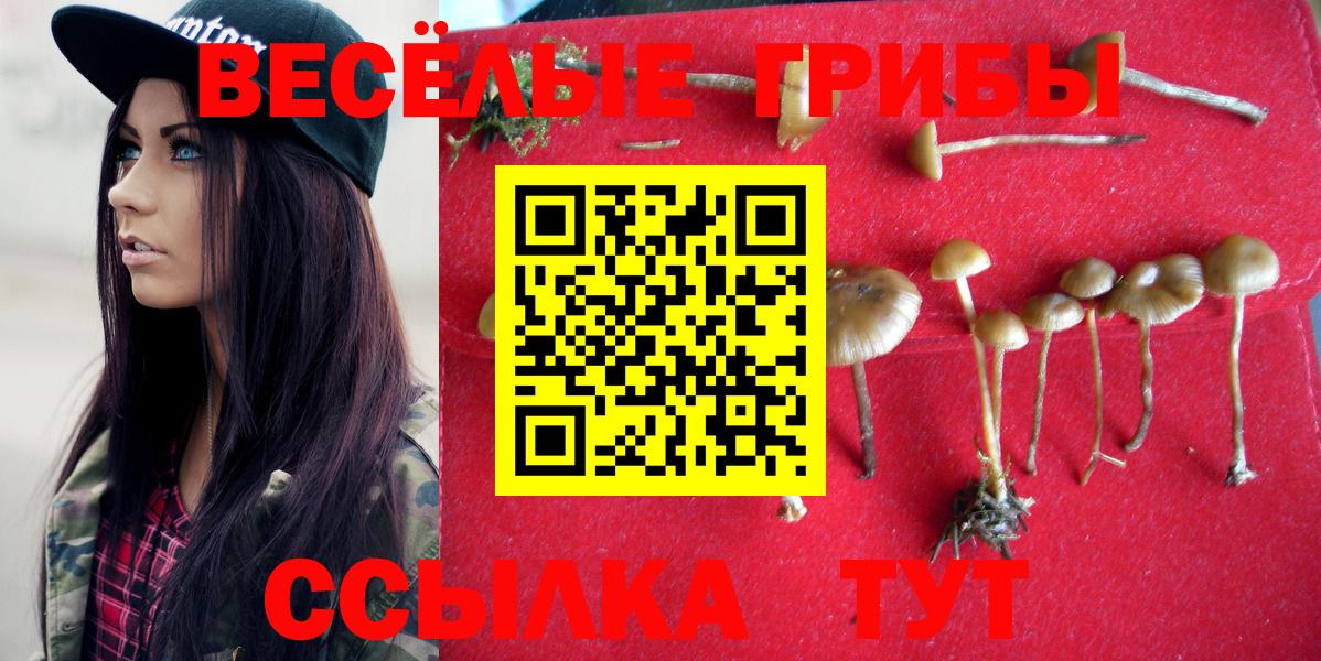 Псилоцибиновые грибы Magic Shrooms  Псилоцибиновые грибы MAGIC MUSHROOMS  Вход с VPN  Нововоронеж 